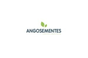 ANGOSEMENTES
